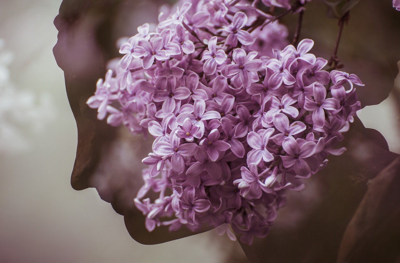 10 melhores colágenos verisol que estão esgotando das farmácias pelo efeito rejuvenescedor