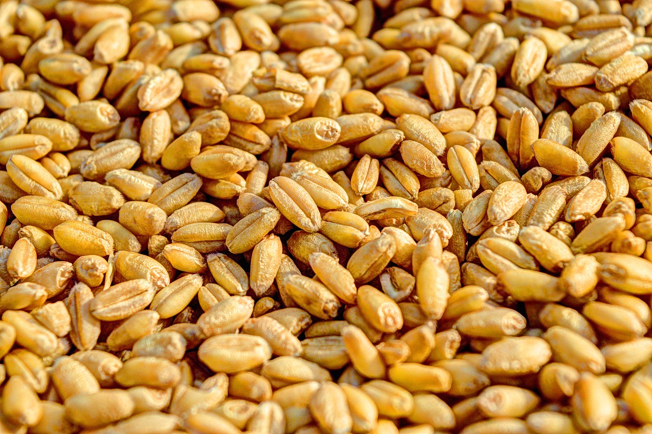 10 melhores vitaminas C para o rosto que entregam resultados visíveis em poucos dias