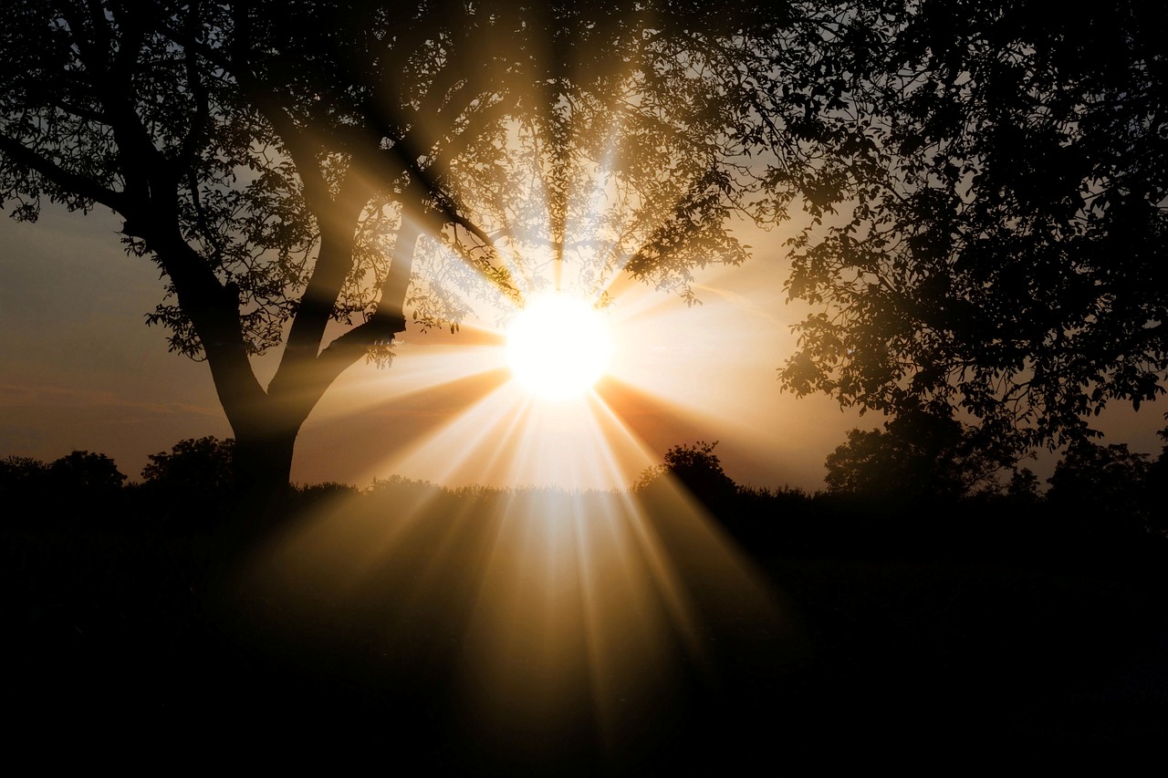 O que acontece no seu corpo quando você toma sol por 15 minutos por dia