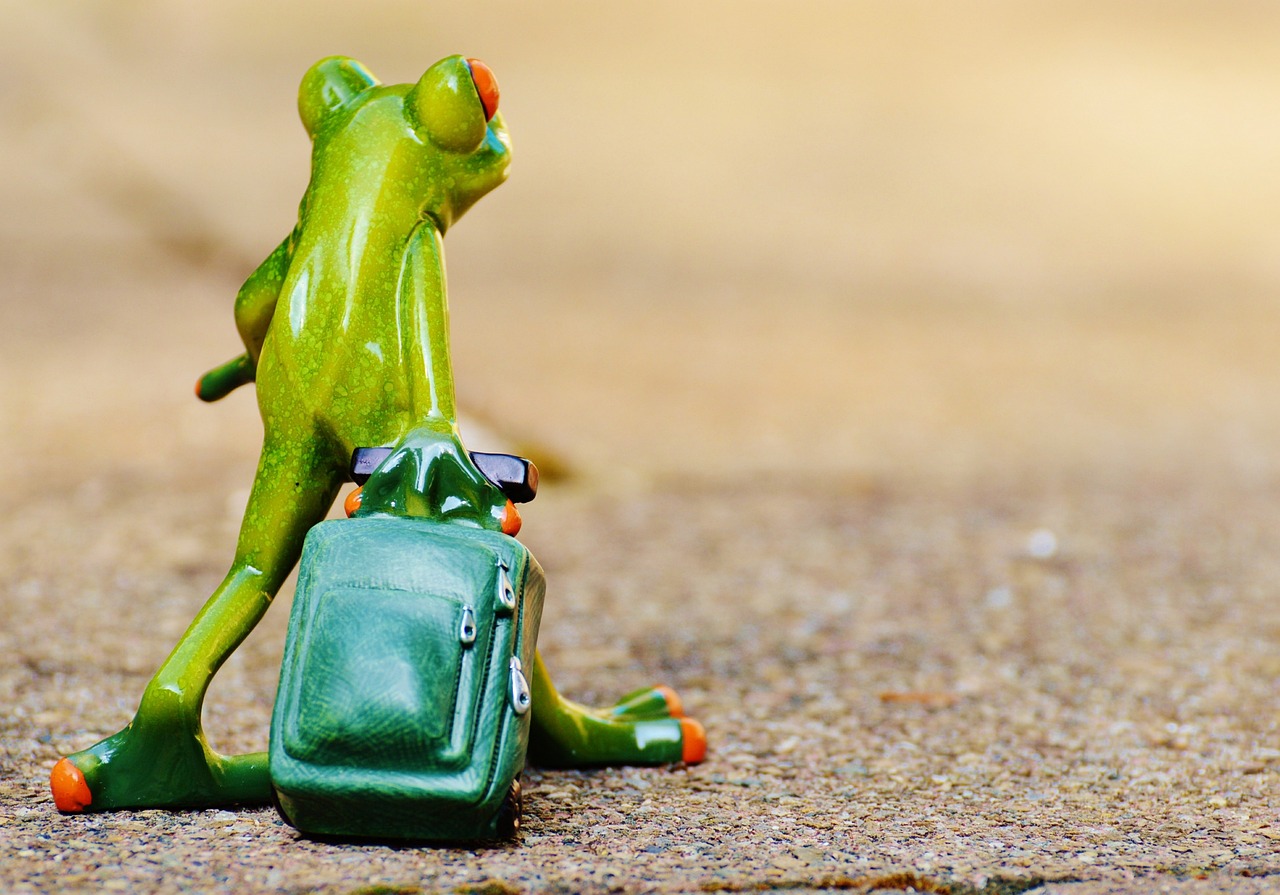 O que levar em uma mala inteligente: o segredo dos viajantes experientes